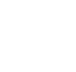 Alverton-View-logo-white